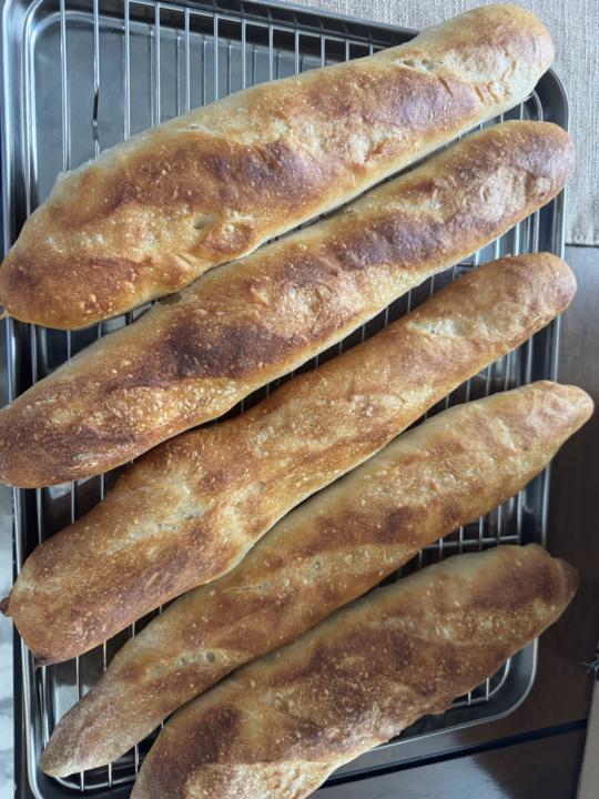 I have to improve making Sourdough baguette✌️