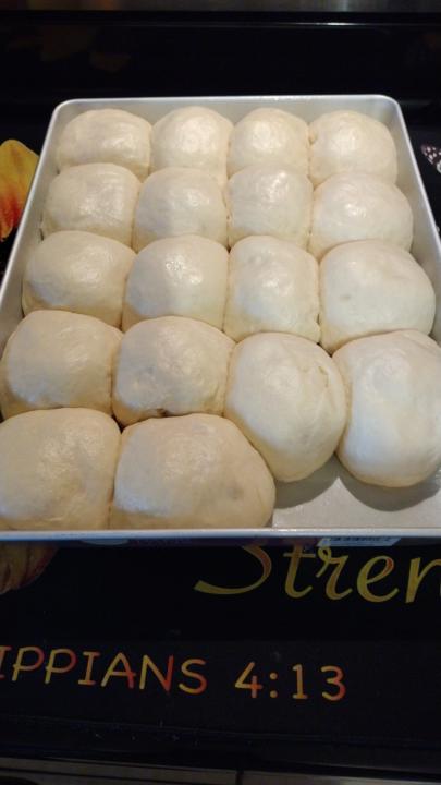 Hybrid Dinner Rolls 