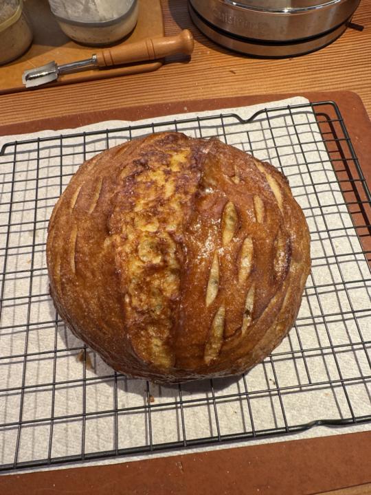 Pretzel Loaf Round 2