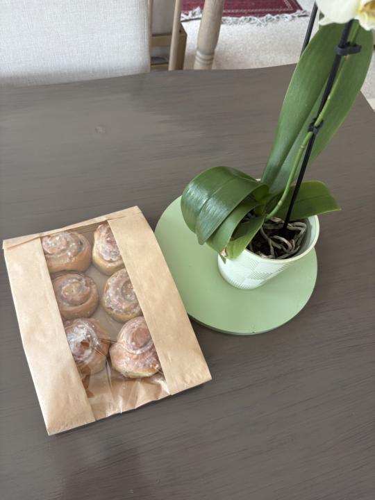 Today baked 