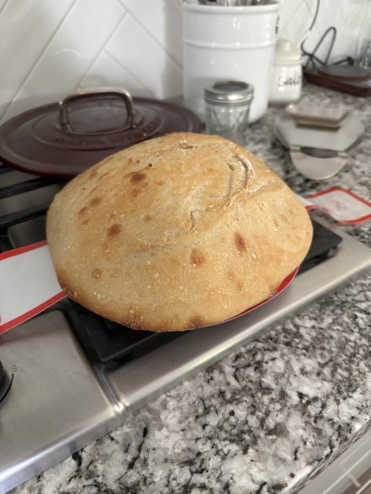 First Loaf Ever