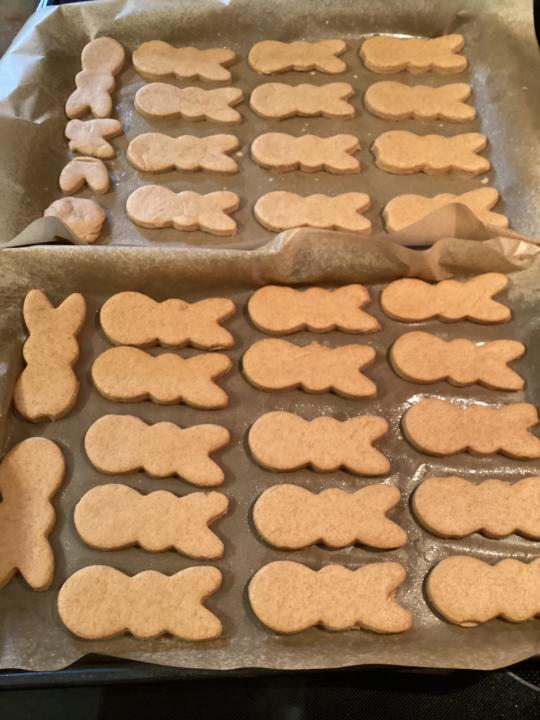 Sourdough Dog & Cat Treats