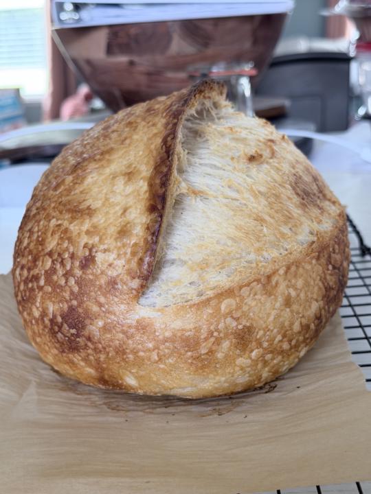 I Got My Loaf of Bread!