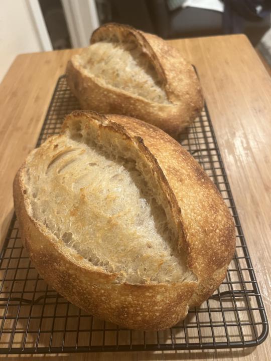78% hydration dough experiments… Batch A and Batch B