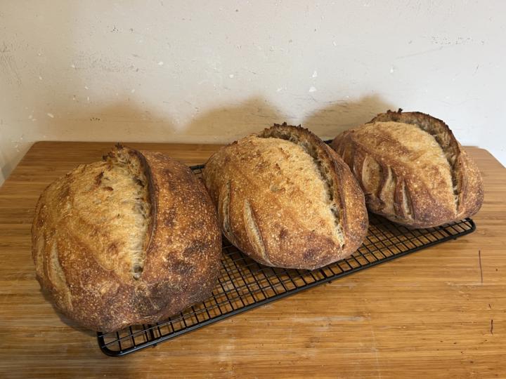 Just making some sourdough bread my way…🤷‍♂️
