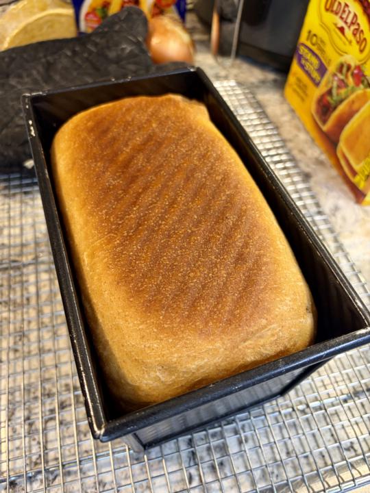 Fresh out of the oven. Whole wheat sandwich bread, baked in a Pullman pan.