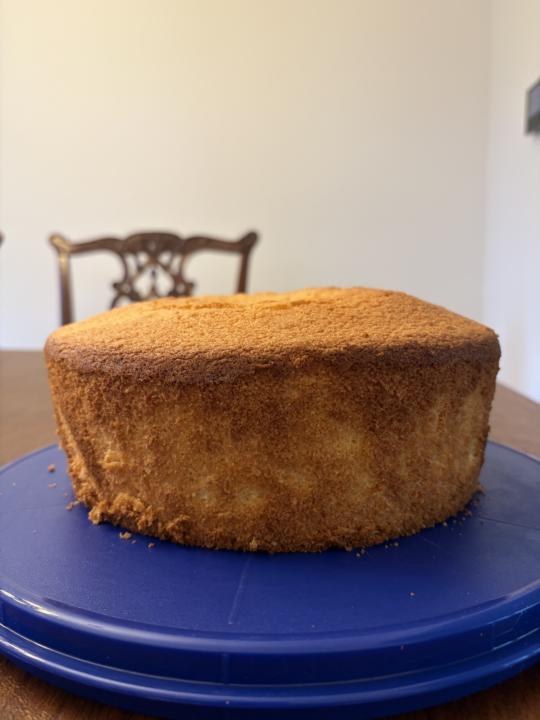 Sponge cake