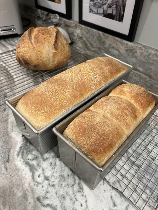 Tangzhong sandwich bread 
