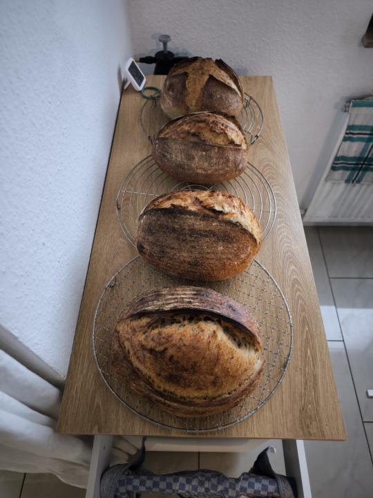 Bread for a party 