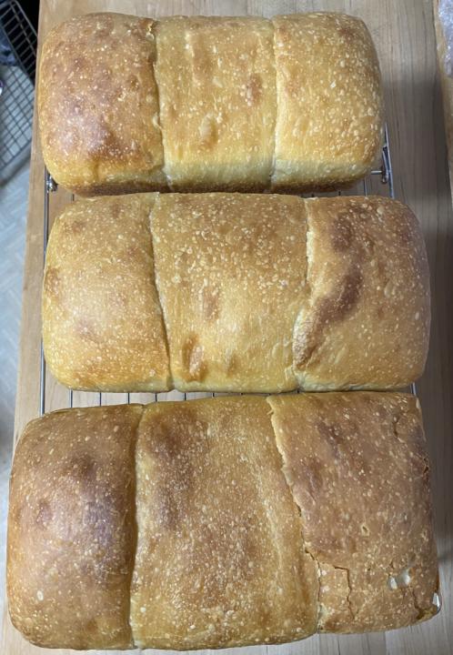 This mornings bakes