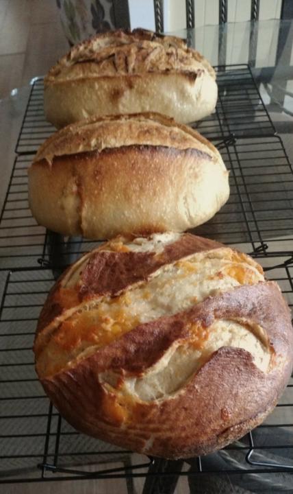 Testing Different Ingredients 