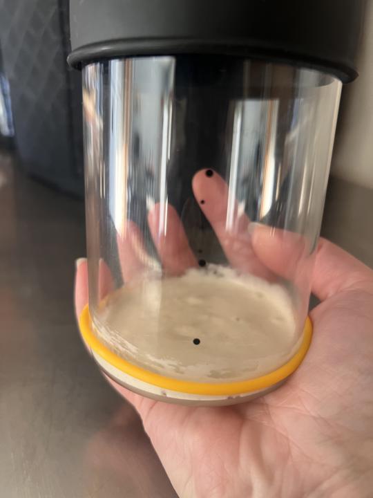 Thanks, Henry & SourHouse! 