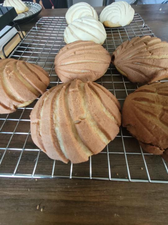 Sourdough conchas!