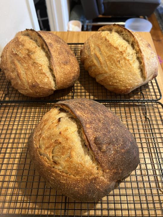 Same recipe… different hydration & different bulk fermentation ending 