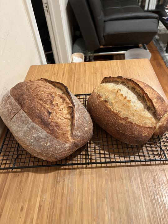 Tartine Country loaf right next to Gaylord’s 75% hydration loaf…