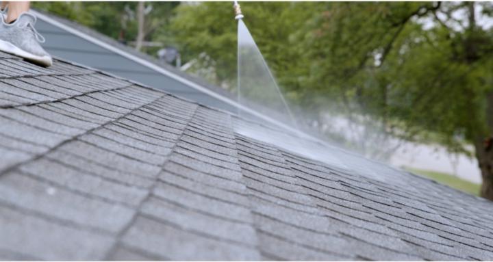 Rejuvenation Launch Blueprint