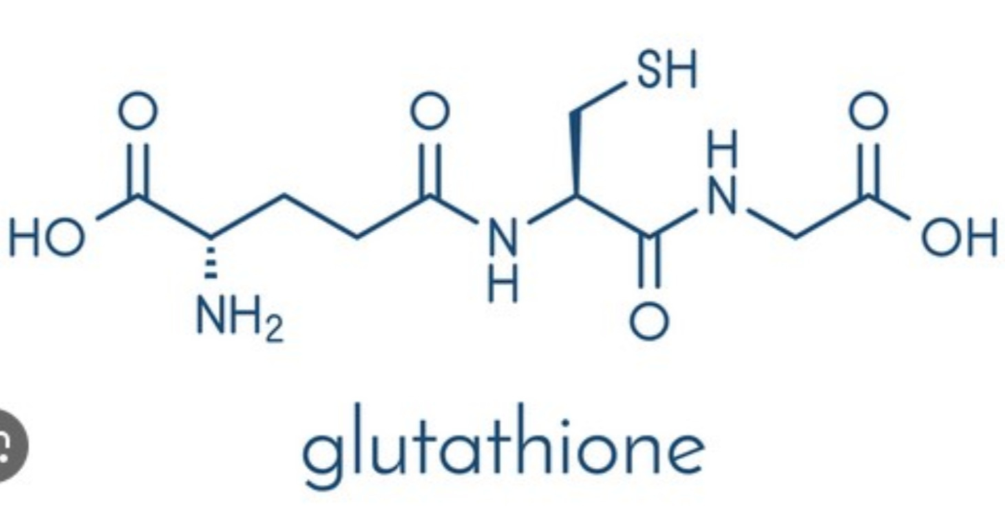 GLUTATHIONE