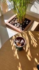 جاسم العربلي