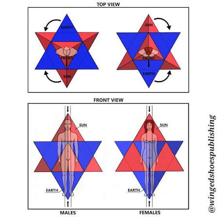 Merkaba Mechanics 😁