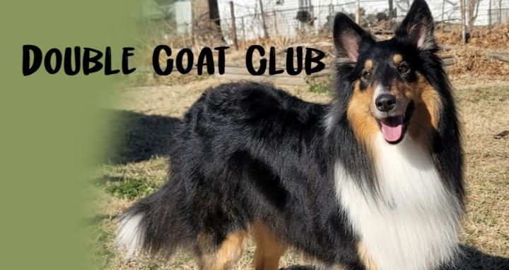 Double Coat Club