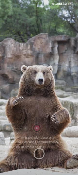 Douglas Enrrique Bucuy Gamez