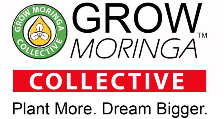 Grow Moringa Collective