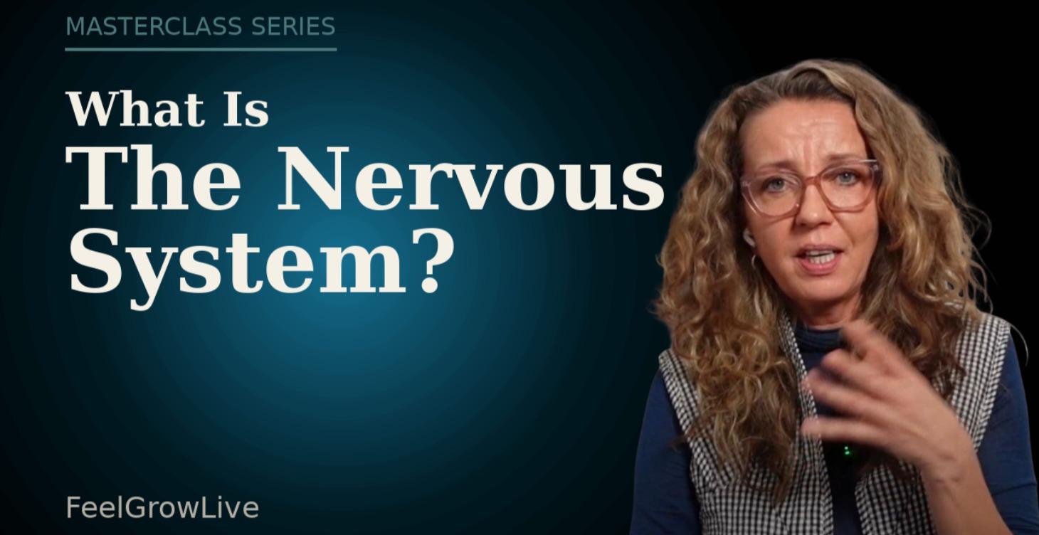 What is the Nervous System?