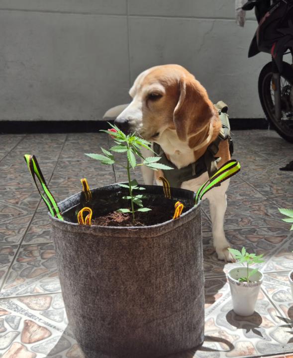 Alejandro Yepes Botero