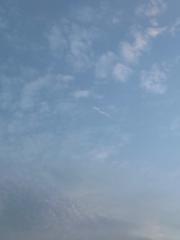 شيخه عبدالله