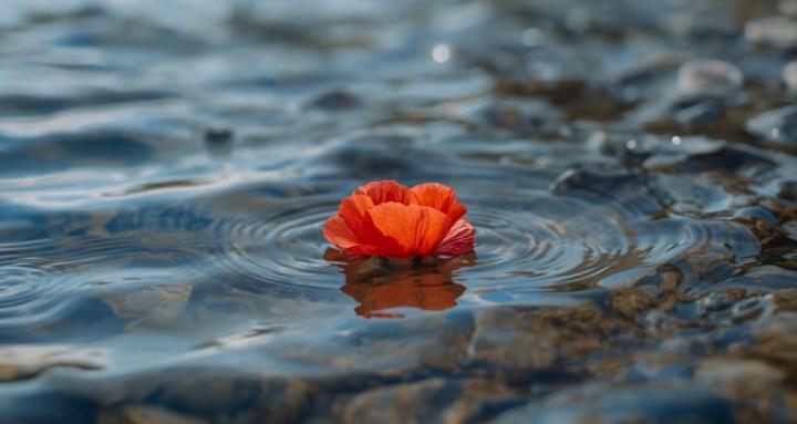 Khuba Life Style - Fundamentos