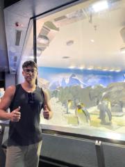 Mattia L Anfusa