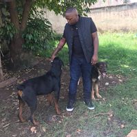 Gregory Amoshe
