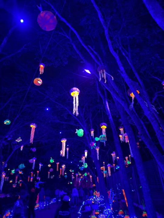 Jacqueline Champlain