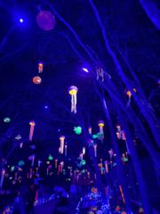 Jacqueline Champlain