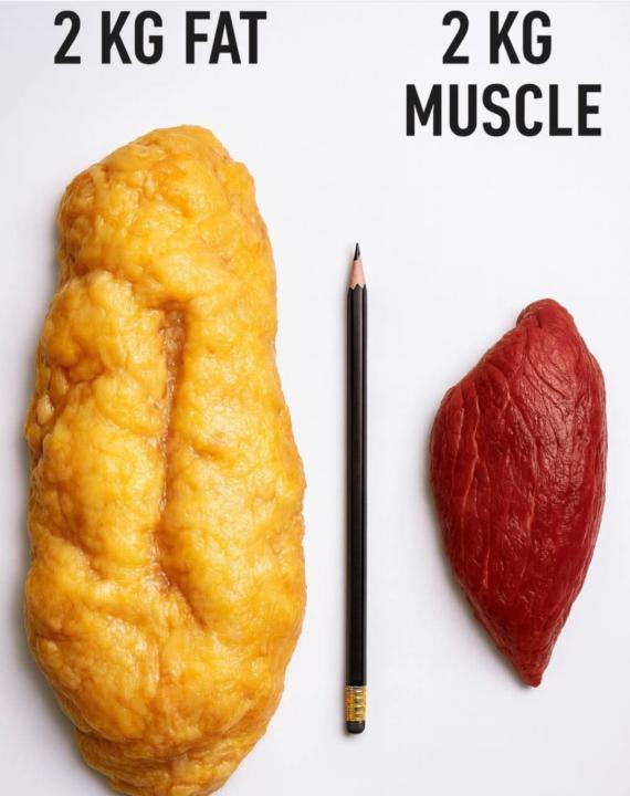 Can we have a group meeting about THE SCALES for a sec? 😂