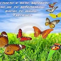 Катя Маркова