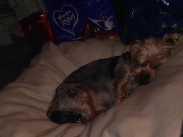 Patricia Nowlin-palmer