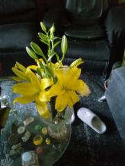 Enrique Muñoz Santa Ana