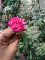 Vaishnav Shelar