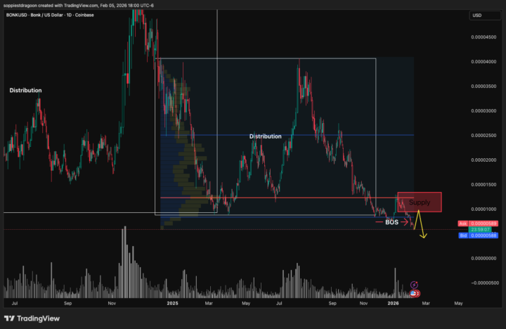 BONK — Bearish (Requested Chart)