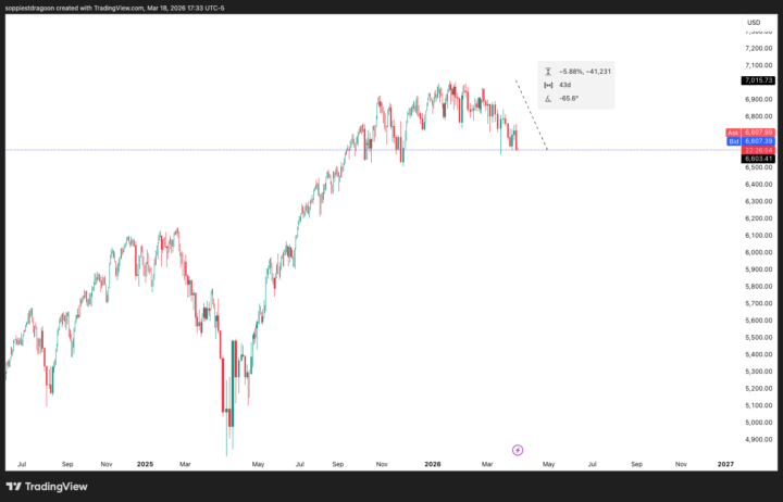 For the Investors in Here