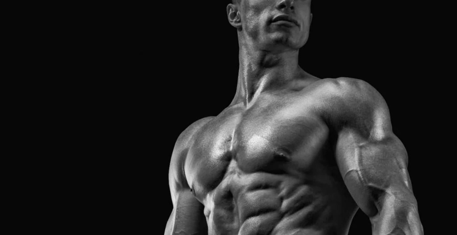 Muscle Mass nutrition