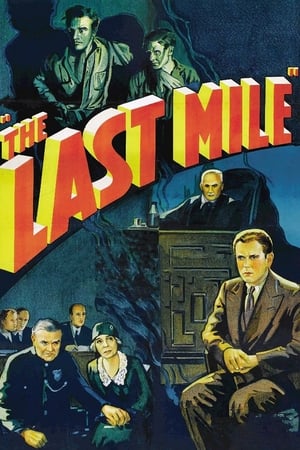 The Last Mile in Odoo Implementation