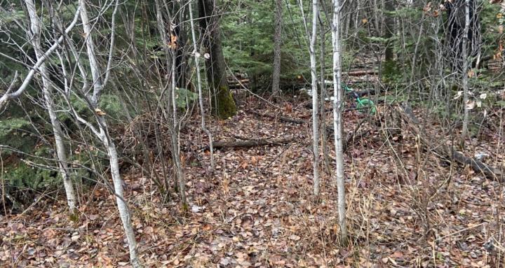 Change tires chopping wood