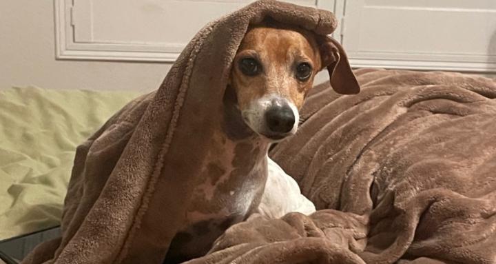 Sampson’s rescuer