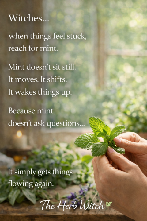 Reach for Mint to Wake things up!