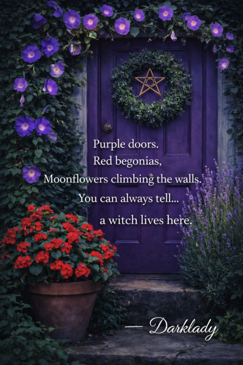 A Witch Lives Here