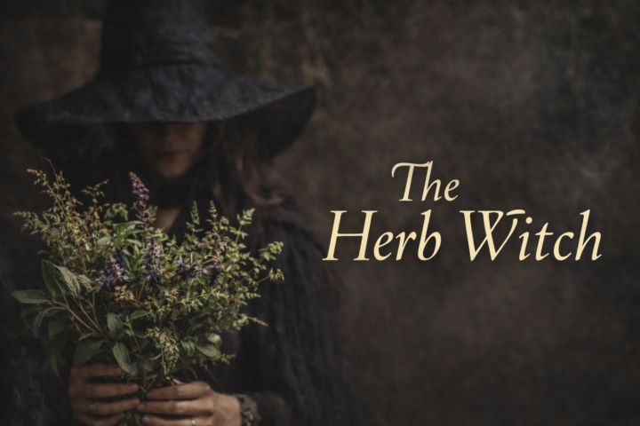 Welcome to the calm side of herbalism