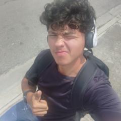 Luis Ballestrini