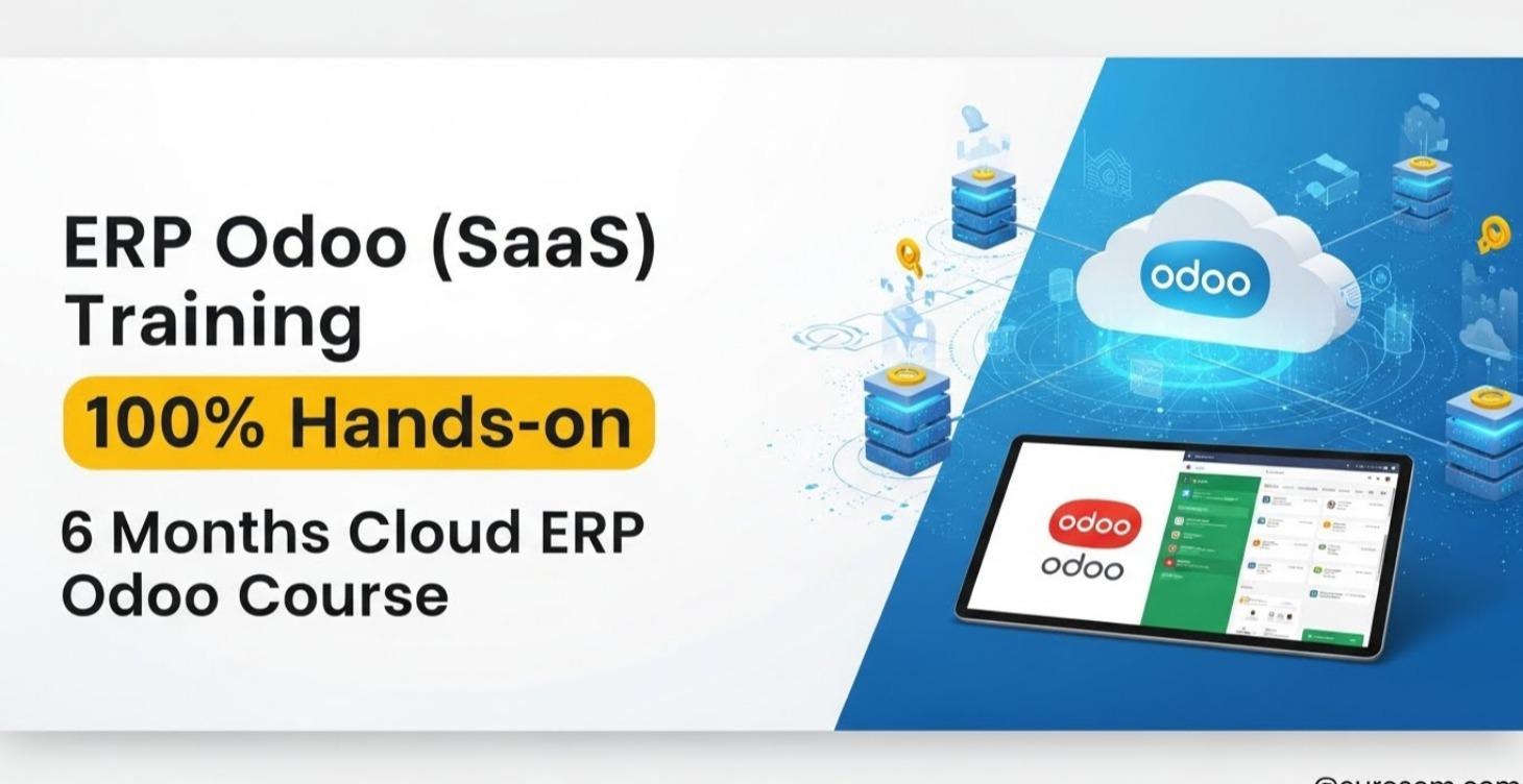 ERP Odoo (SaaS) Training (100% Hands-on)